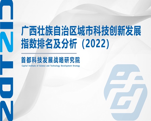 入逼免费视频【成果发布】广西壮族自治区城市科技创新发展指数排名及分析（2022）